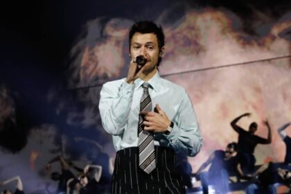 Harry Styles gig